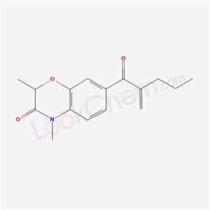 Click to see the large picture