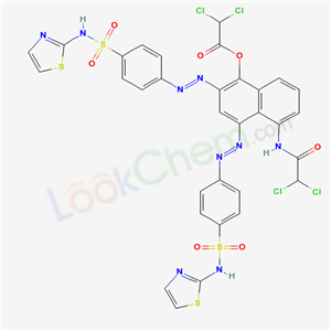 Click to see the large picture