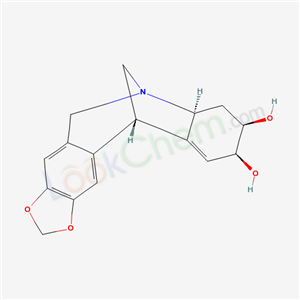 Click to see the large picture