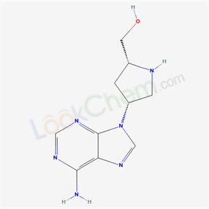 Click to see the large picture