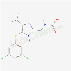 Click to see the large picture