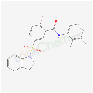 Click to see the large picture