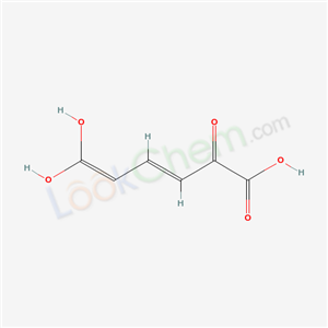 (3E)-6,6-dihydroxy-2-oxo-hexa-3,5-dienoic acid