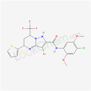 Click to see the large picture