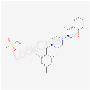 Click to see the large picture