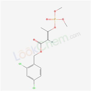 Click to see the large picture