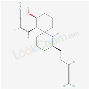 Click to see the large picture