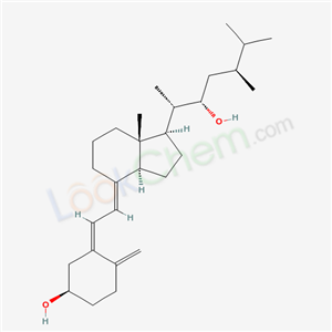 Click to see the large picture