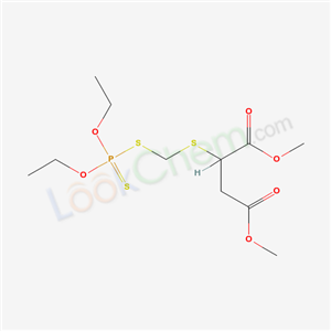 Click to see the large picture