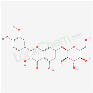 Isorhamnetin7-O-glucoside