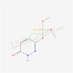 Click to see the large picture