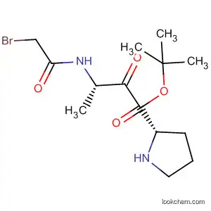Molecular Structure of 90035-55-5 (L-Proline, 1-[N-(bromoacetyl)-L-alanyl]-, 1,1-dimethylethyl ester)