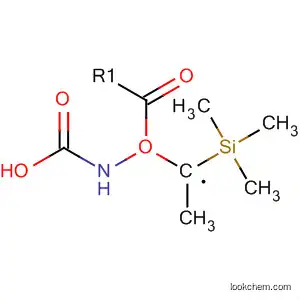 Molecular Structure of 23432-63-5 (methyl N-methyl-N-trimethylsilyl-carbamate)