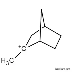 Molecular Structure of 3197-78-2 (Bicyclo[2.2.1]hept-2-ylium, 2-methyl-)