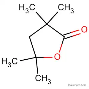 Molecular Structure of 4237-83-6 (2(3H)-Furanone, dihydro-3,3,5,5-tetramethyl-)