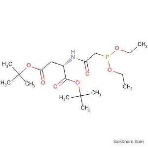 Molecular Structure of 189264-23-1 (L-Aspartic acid, N-[(diethoxyphosphinyl)acetyl]-, bis(1,1-dimethylethyl)
ester)