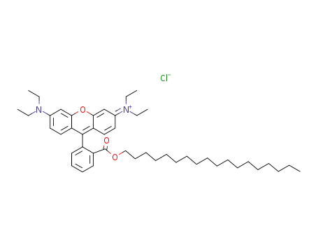 Molecular Structure of 65603-19-2 (OCTADECYL RHODAMINE B CHLORIDE)