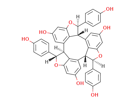 Molecular Structure of 62218-13-7 (alpha-viniferin)