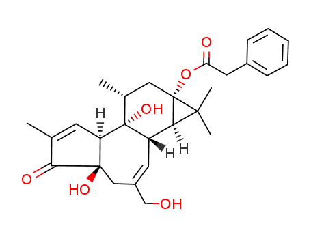 12-Deoxyphorbol 13-Phenylacetate >99%