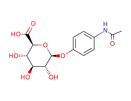 acetaminophen glucuronide