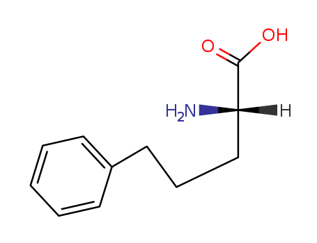 L-2-AMINO-5-
PHENYL-PENTANOIC ACID