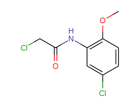 2-chloro-N-(5-chloro-2-methoxyphenyl)acetamide(SALTDATA: FREE)