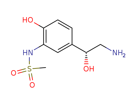 Click to see the large picture