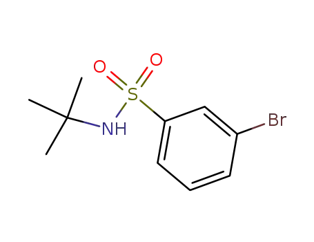 Molecular Structure of 308283-47-8 (3-BROMO-N-TERT-BUTYLBENZENESULPHONAMIDE)