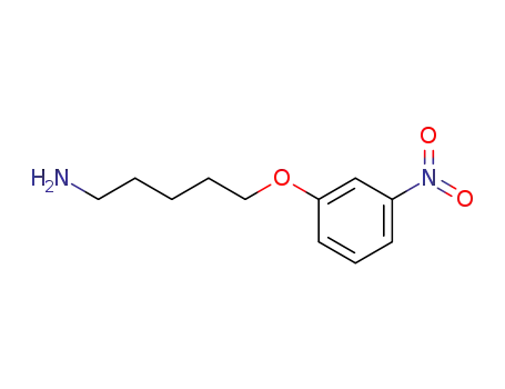 Molecular Structure of 1092450-82-2 (5-(3-nitro-phenoxy)-pentylamine)