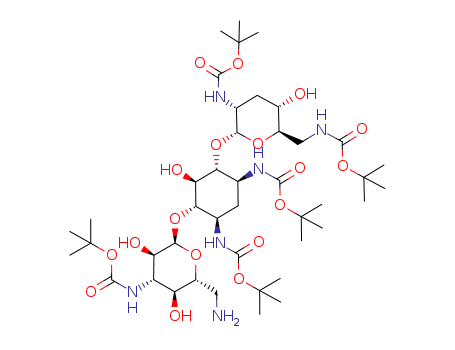 Click to see the large picture