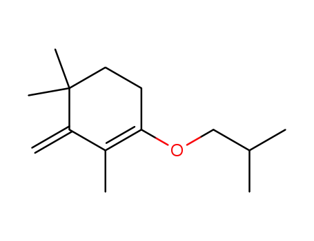 Molecular Structure of 257624-17-2 (1-isobutoxy-2,4,4-trimethyl-3-exomethylene-cyclohexene)