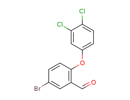 Click to see the large picture