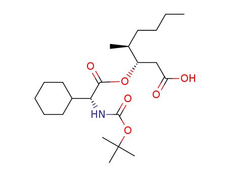 Click to see the large picture