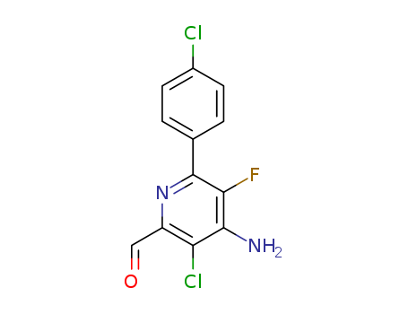 Click to see the large picture