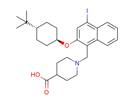 Click to see the large picture