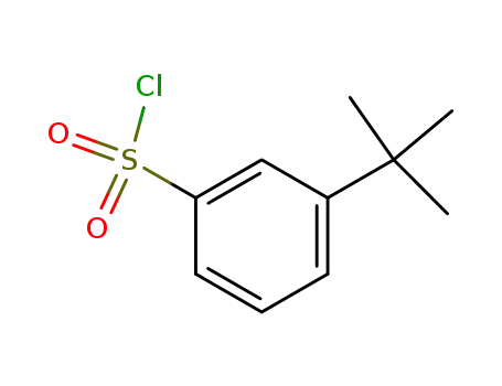 Molecular Structure of 2905-26-2 (3-Tert-butyl benzenesulfonyl chloride)