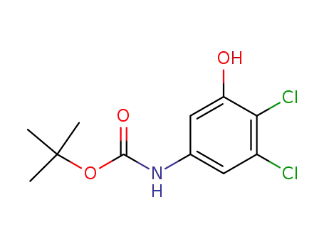 Molecular Structure of 1130156-65-8 (tert-butyl N-(3,4-dichloro-5-hydroxyphenyl)carbamate)