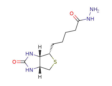 Biotin hydrazide