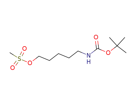 Molecular Structure of 142342-55-0 (METHANESULFONIC ACID 5-BOC-AMINO-PENTYL ESTER)