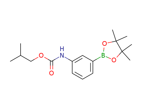 Click to see the large picture