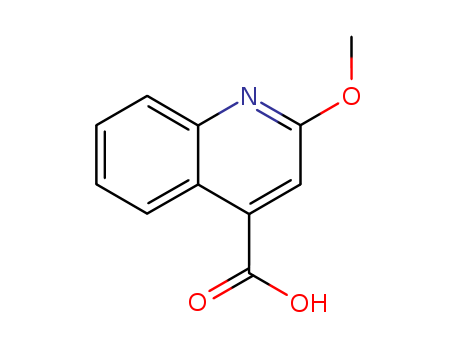 2-METHOXY-QUINOLINE-4-CARBOXYLIC ACID