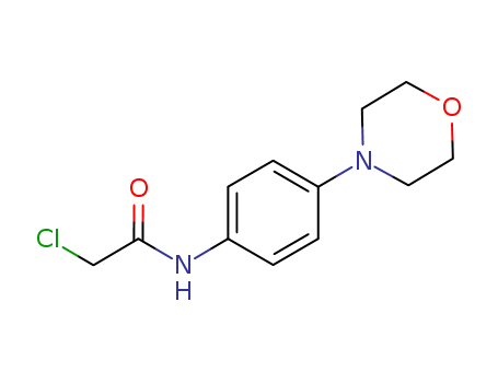 2-Chloro-N-(4-morpholinophenyl)acetamide 170655-46-6