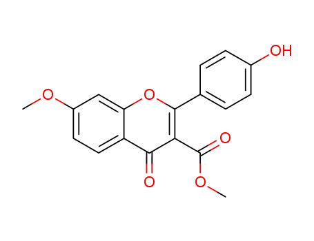 Click to see the large picture