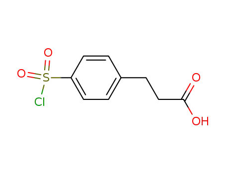 Molecular Structure of 63545-54-0 (P-CHLOROSULFONYLDIHYDROCINNAMIC ACID)
