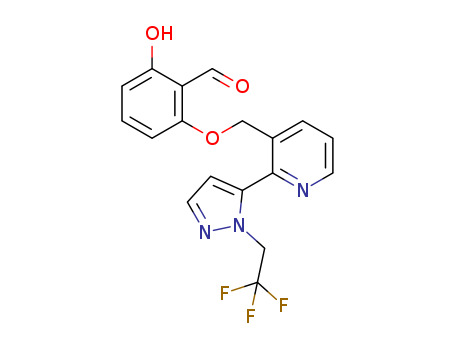 Click to see the large picture