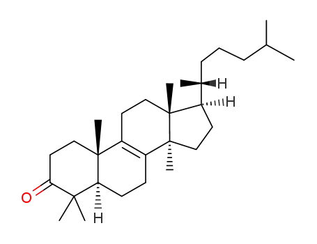 Molecular Structure of 1255-26-1 (Lanost-8-en-3-one)