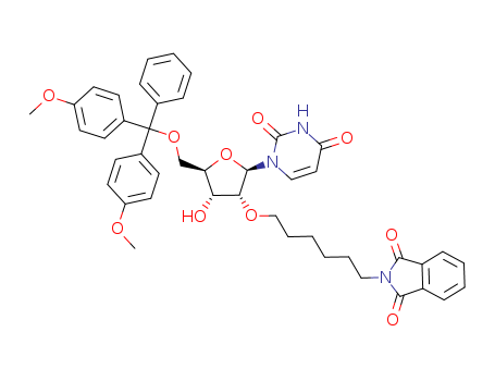 Molecular Structure of 156881-45-7 (Uridine,
5'-O-[bis(4-methoxyphenyl)phenylmethyl]-2'-O-[6-(1,3-dihydro-1,3-dioxo
-2H-isoindol-2-yl)hexyl]-)