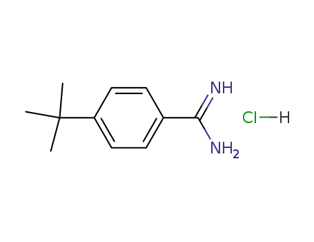 Molecular Structure of 68284-01-5 (4-TERT-BUTYL-BENZAMIDINE HCL)