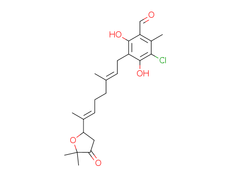 Click to see the large picture