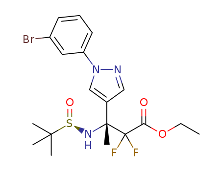 Click to see the large picture